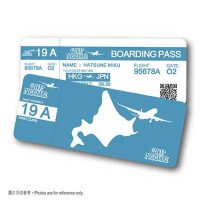 Flight ticket